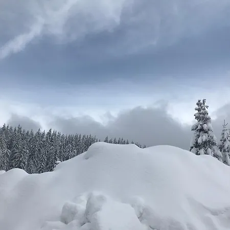 Forest Edge Pamporovo