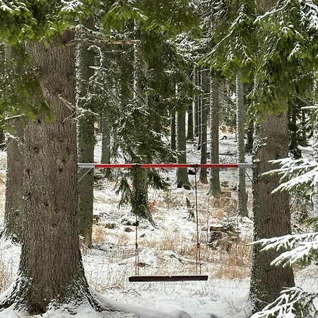 Forest Edge
