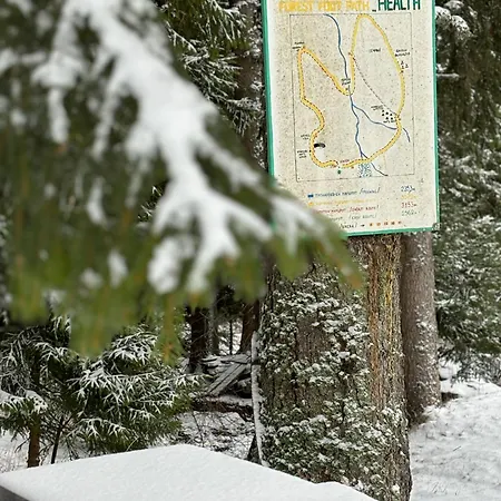 Forest Edge * Pamporovo