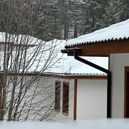 Apartment Forest Edge Pamporovo
